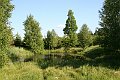 IMG_0012 (2)